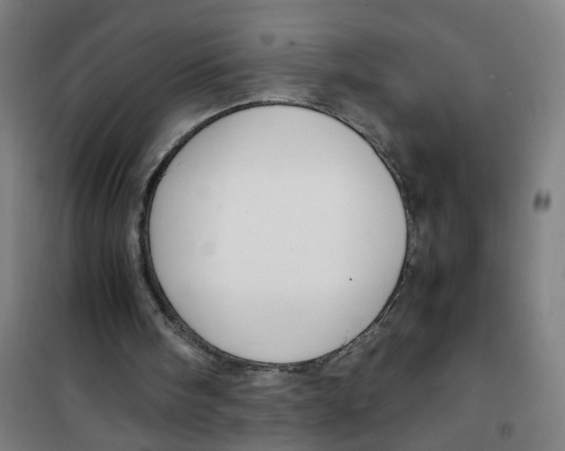 X0000100340098200807031308