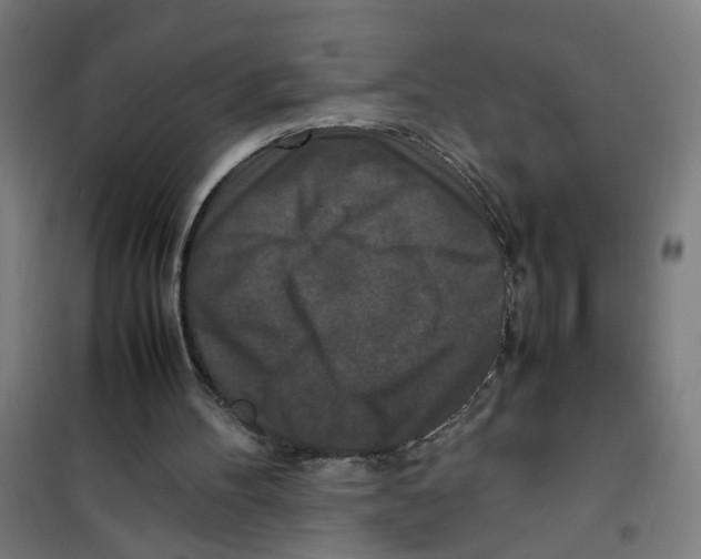 X0000100340100200807031308