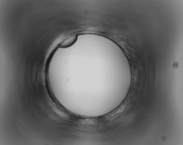 X0000100340102200807031308