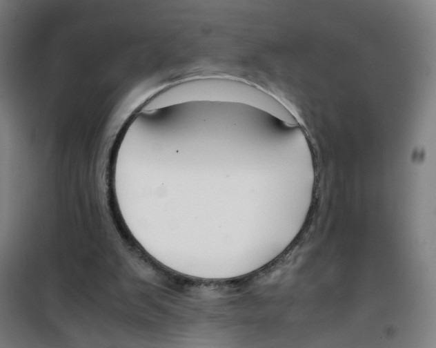 X0000100340103200807031308