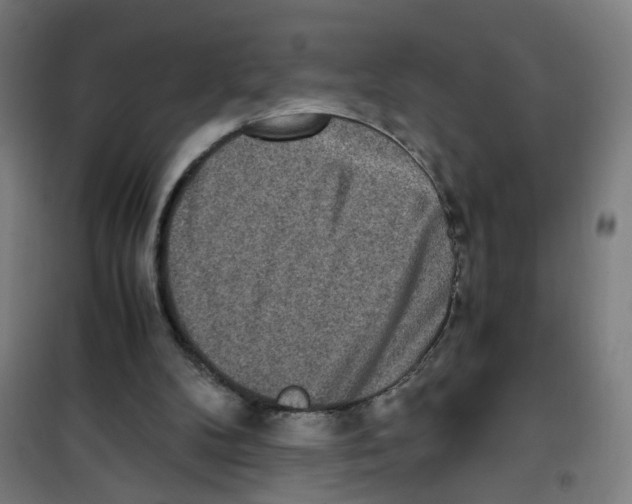 X0000100340104200807031308