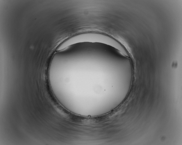 X0000100340105200807031308