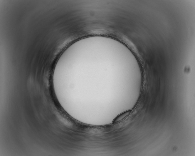 X0000100340106200807031308