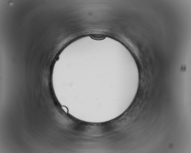 X0000100340107200807031308