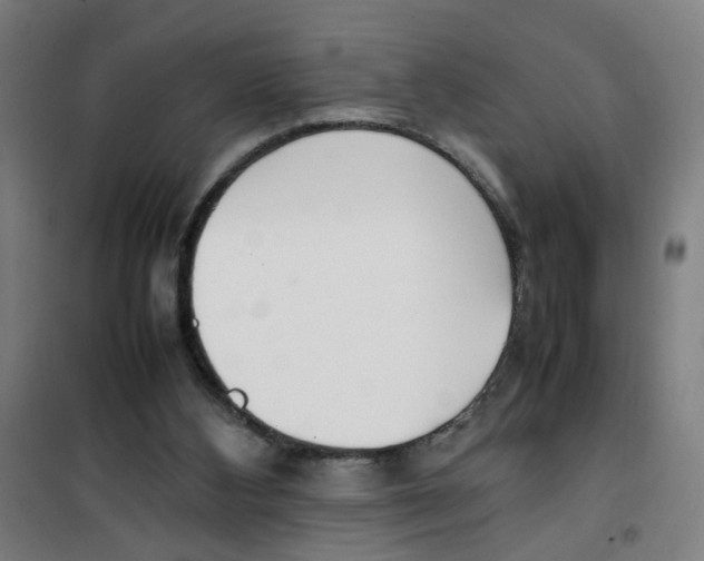 X0000100340108200807031308