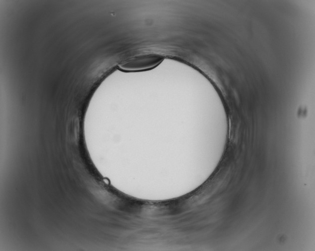 X0000100340109200807031308