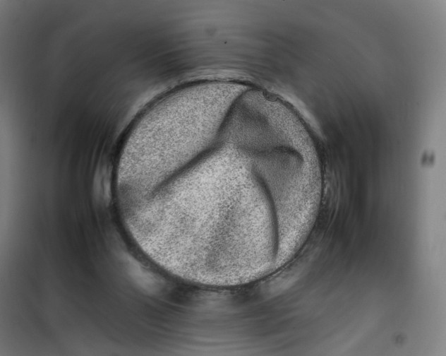 X0000100340110200807031308