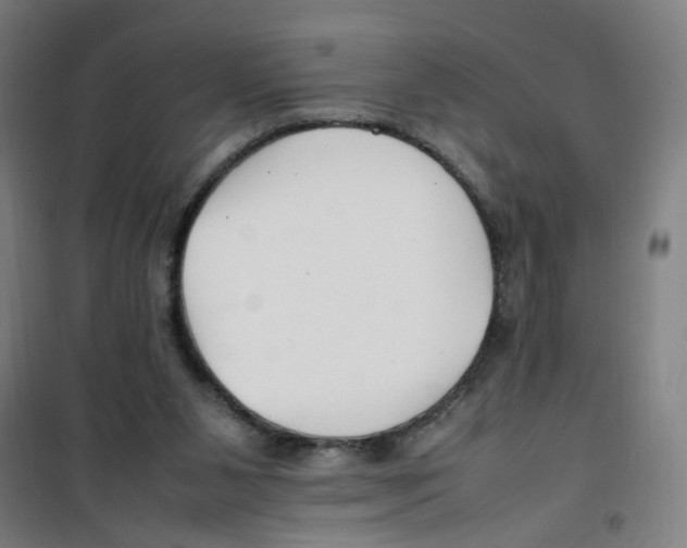 X0000100340111200807031308