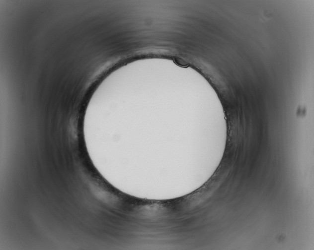 X0000100340112200807031308