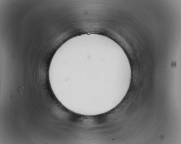 X0000100340113200807031308