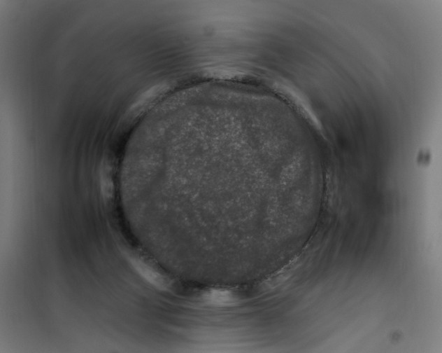 X0000100340114200807031308