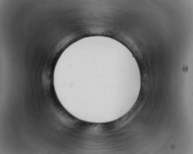 X0000100340116200807031307