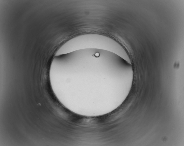 X0000100340117200807031307