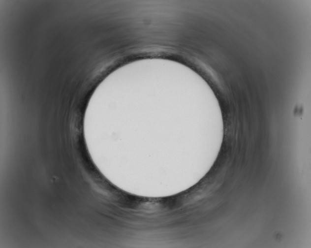 X0000100340119200807031307