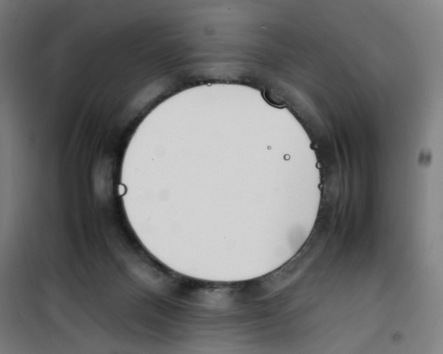 X0000100340120200807031307