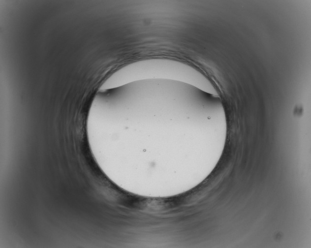 X0000100340121200807031307