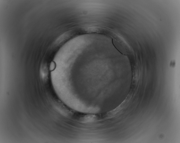 X0000100340124200807031307