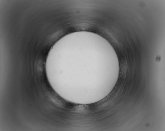 X0000100340126200807031307