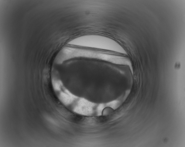 X0000100340127200807031307