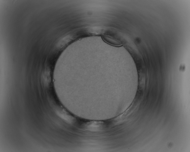 X0000100340128200807031307