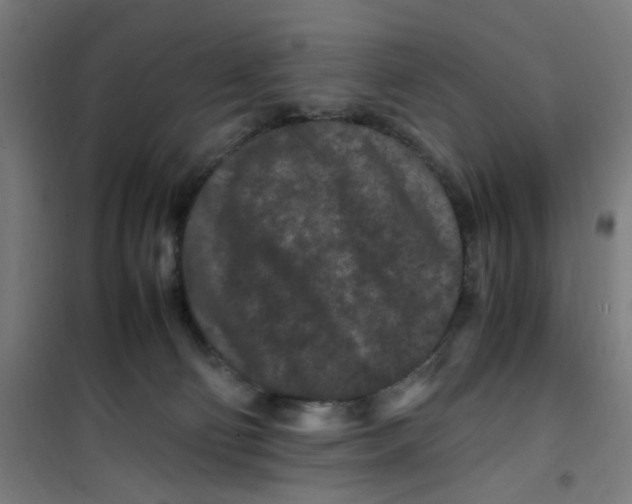 X0000100340130200807031307