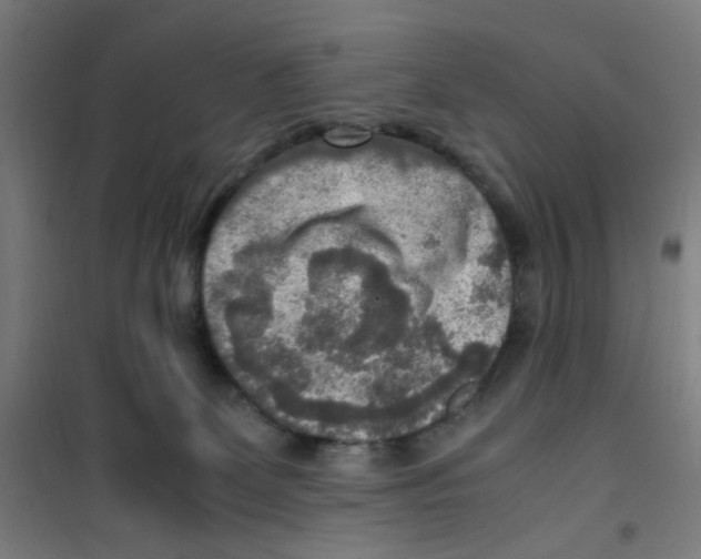 X0000100340131200807031307