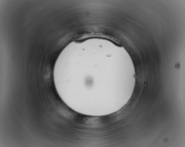 X0000100340132200807031307