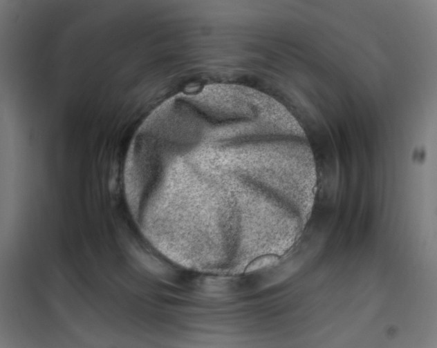 X0000100340134200807031307