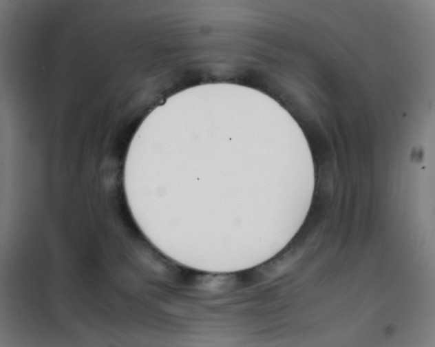 X0000100340135200807031307