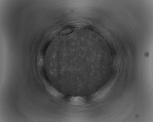 X0000100340137200807031307