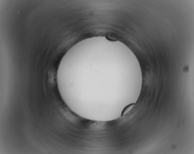 X0000100340138200807031307