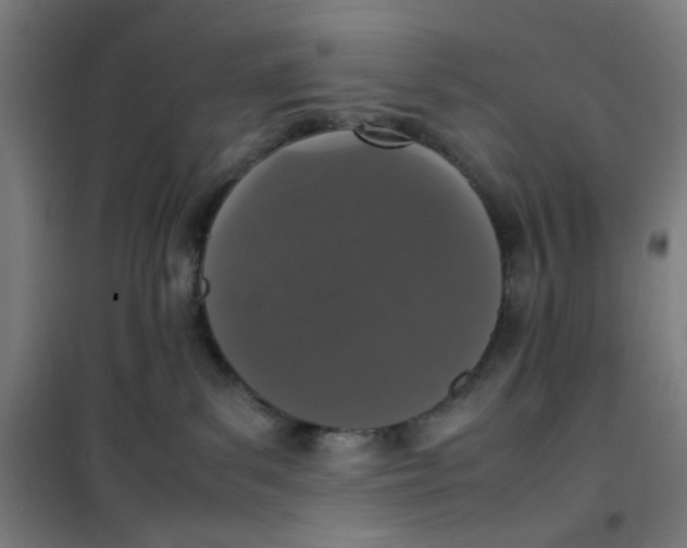 X0000100340139200807031307