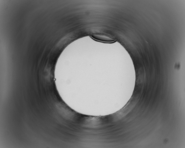 X0000100340140200807031307