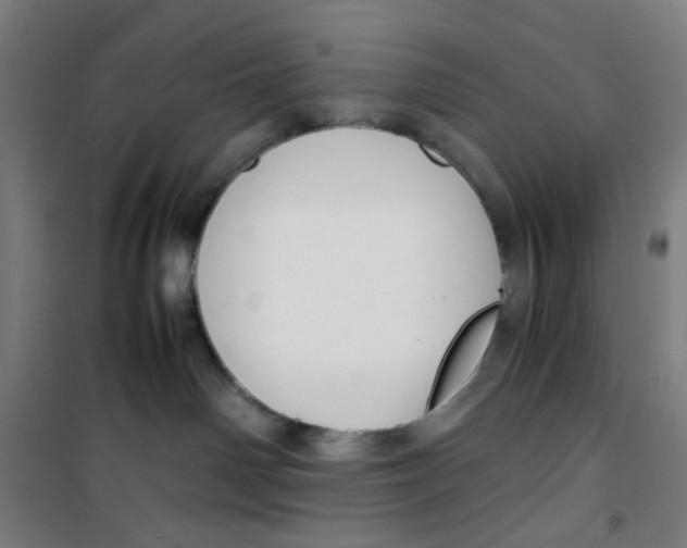 X0000100340142200807031307