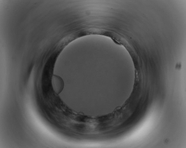 X0000100340143200807031307