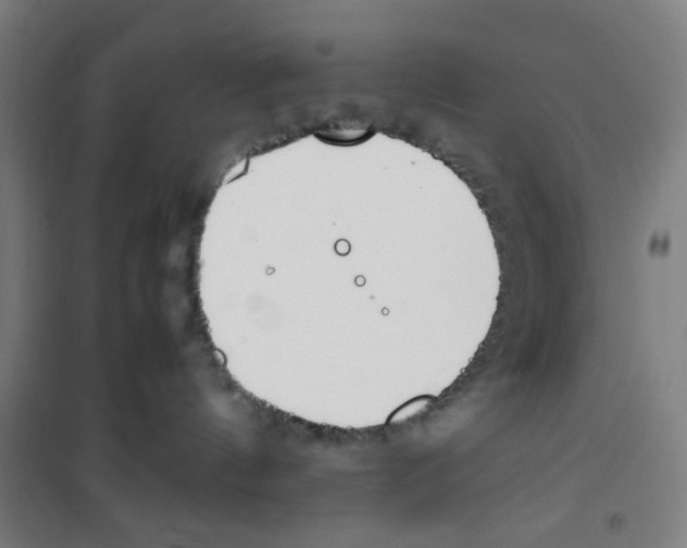 X0000100340144200807031307