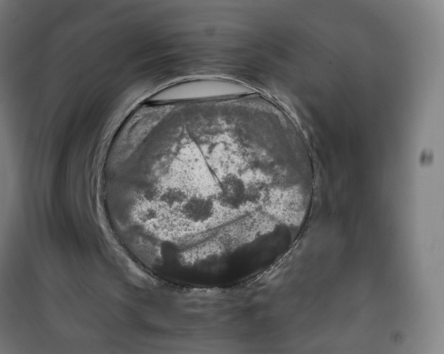 X0000100340145200807031306