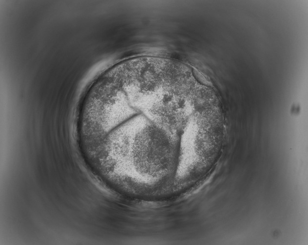 X0000100340149200807031306