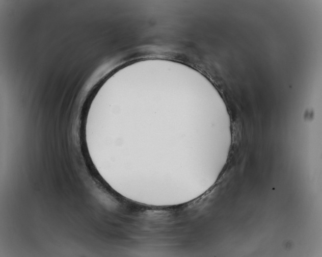 X0000100340150200807031306