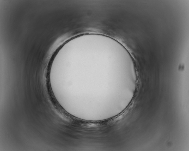 X0000100340151200807031306