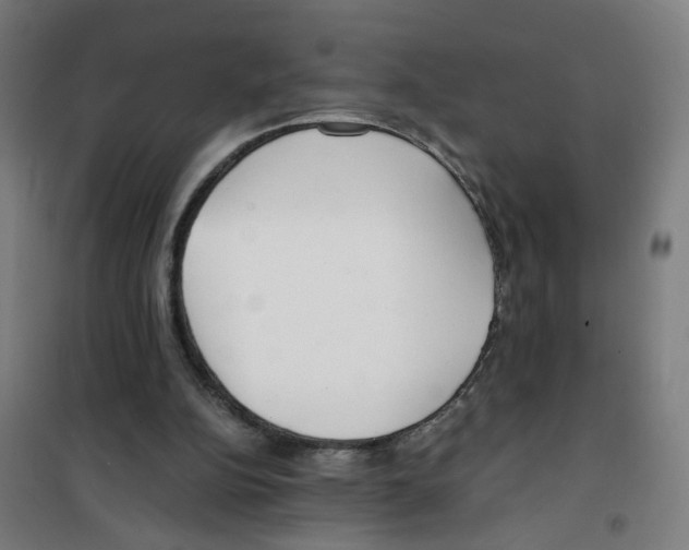 X0000100340152200807031306