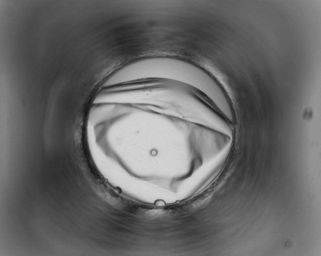 X0000100340153200807031306