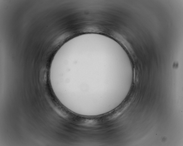 X0000100340157200807031306