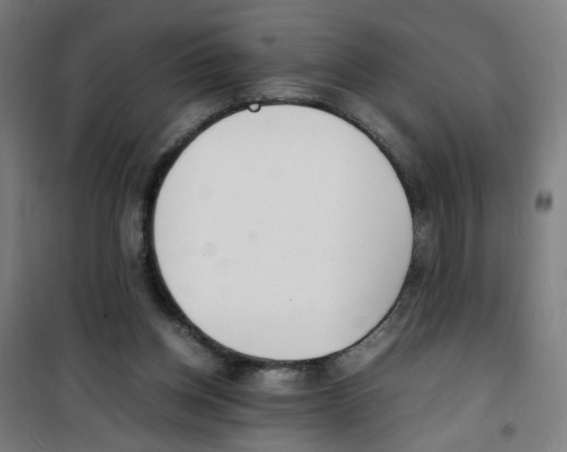 X0000100340158200807031306