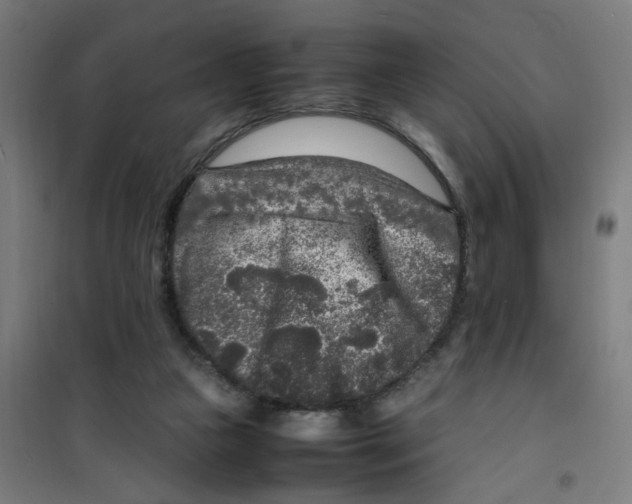 X0000100340161200807031306