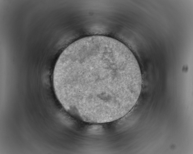 X0000100340162200807031306