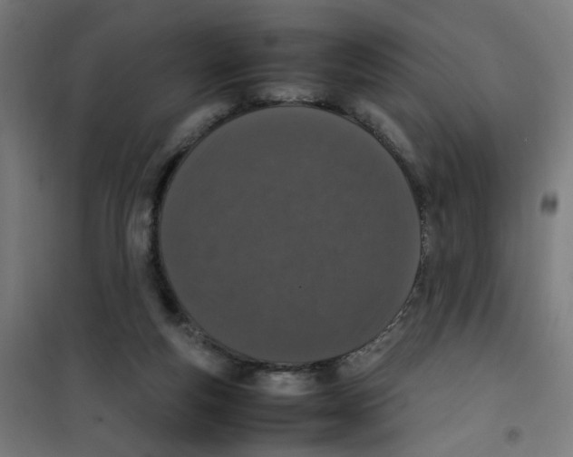 X0000100340163200807031307