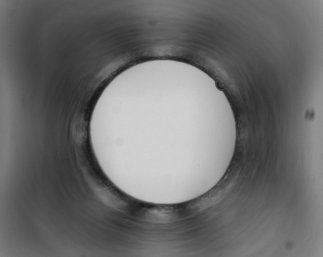 X0000100340164200807031307