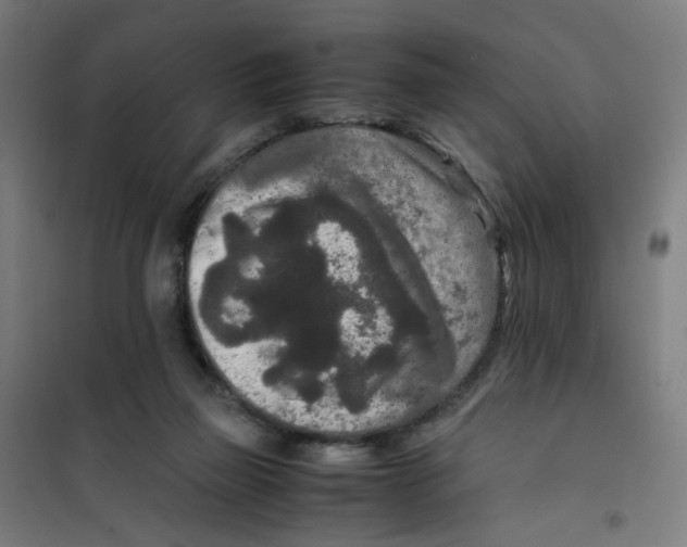 X0000100340165200807031307