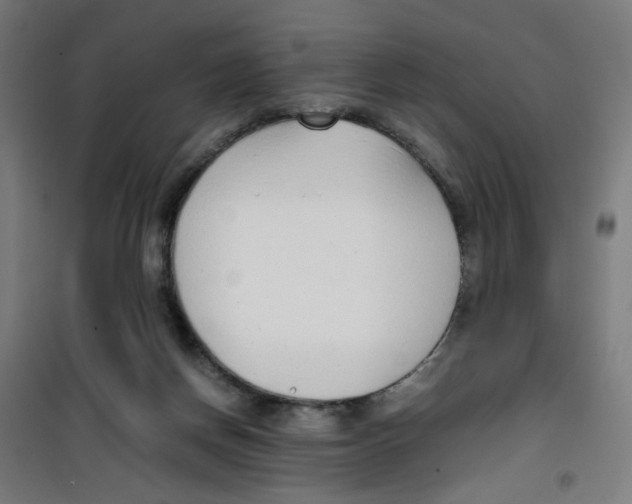 X0000100340166200807031307